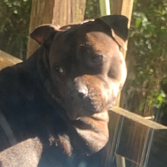 Meet your Posher, Debbie.Handmade jewelry - Picture 12 of 17